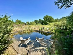 Blick in den Garten